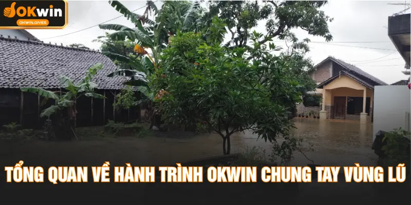 Tổng quan về hành trình OKWIN chung tay vùng lũ