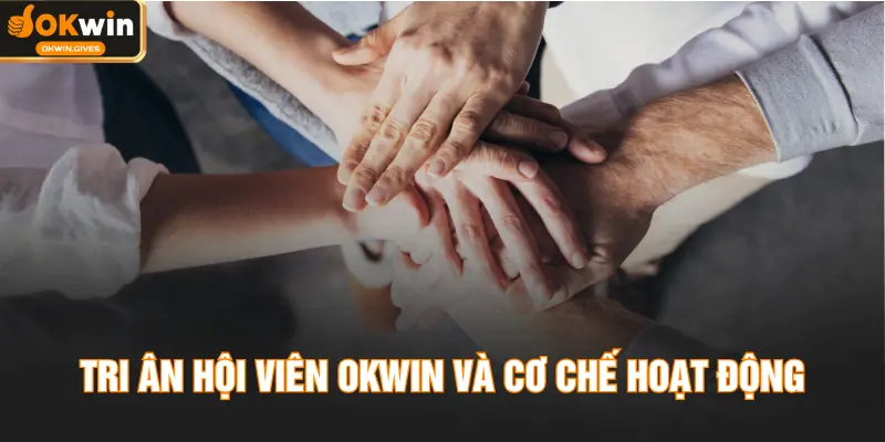 Tri ân hội viên OKWIN và cơ chế hoạt động
